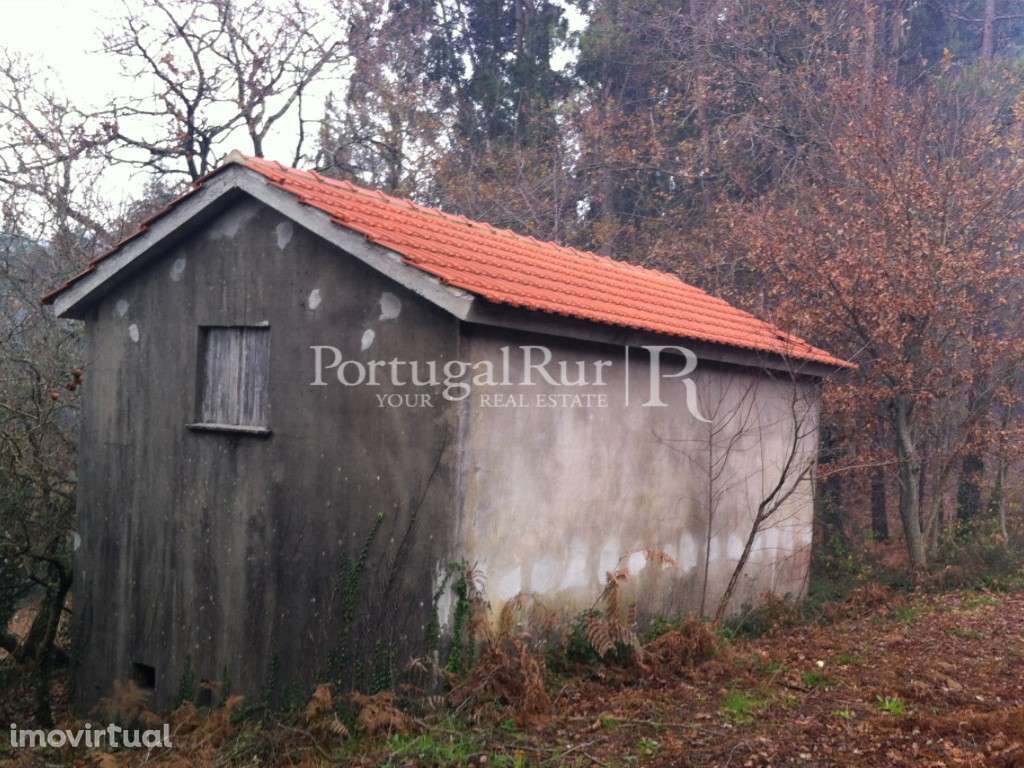 Quinta em socalcos com casebre - Grande imagem: 3/12