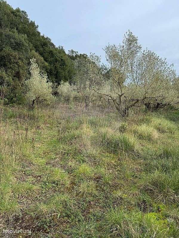 Terreno  para venda - Grande imagem: 2/5