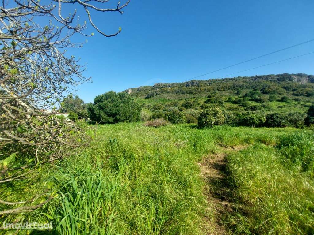 Terreno Misto em Bensafrim, Lagos, Algarve - Grande imagem: 2/29