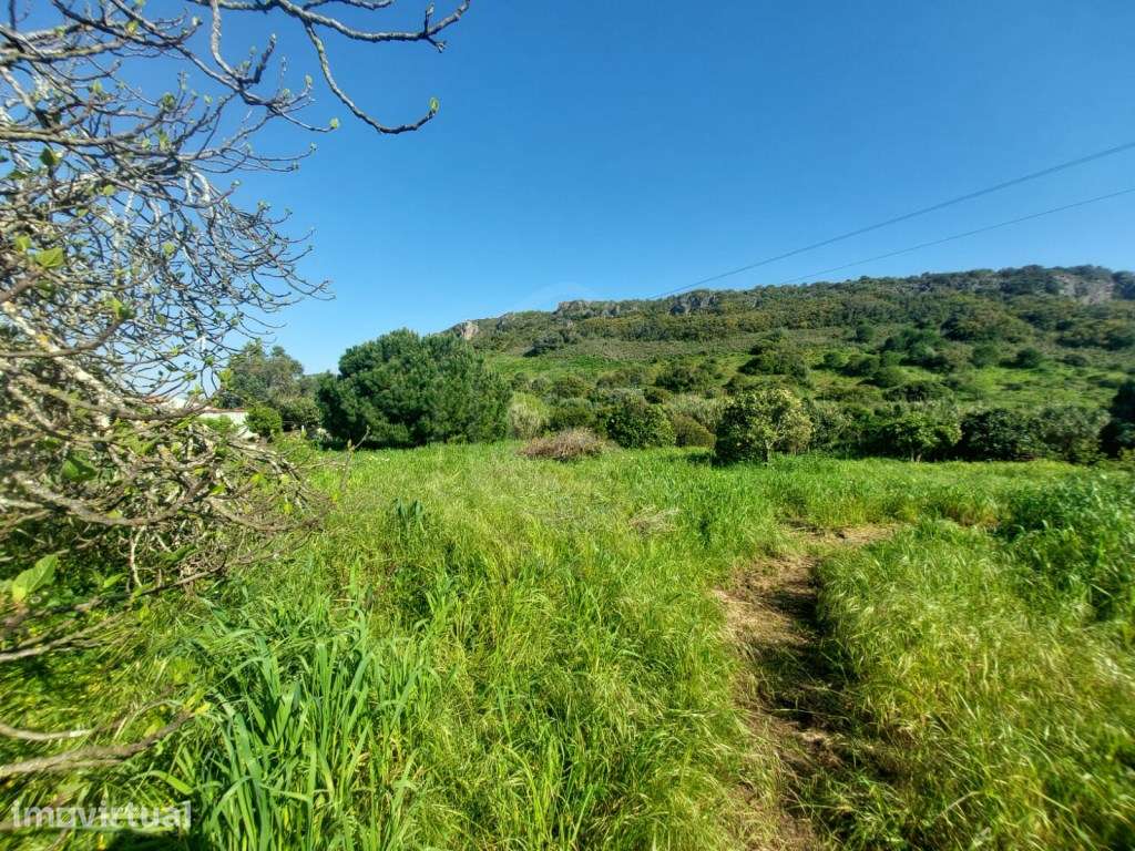 Terreno Misto em Bensafrim, Lagos, Algarve - Grande imagem: 2/27