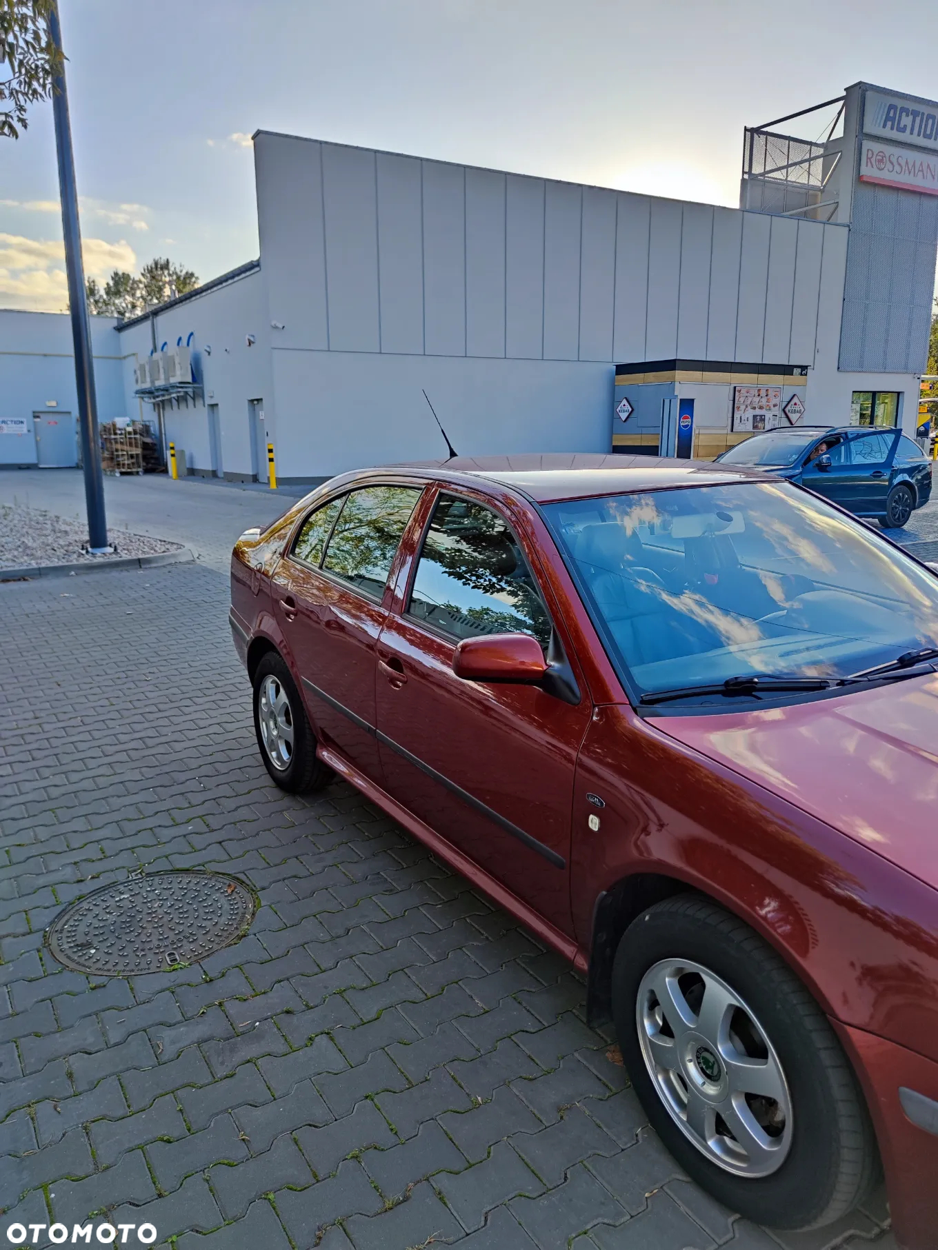 Skoda Octavia 1.9 TDI Elegance - 3