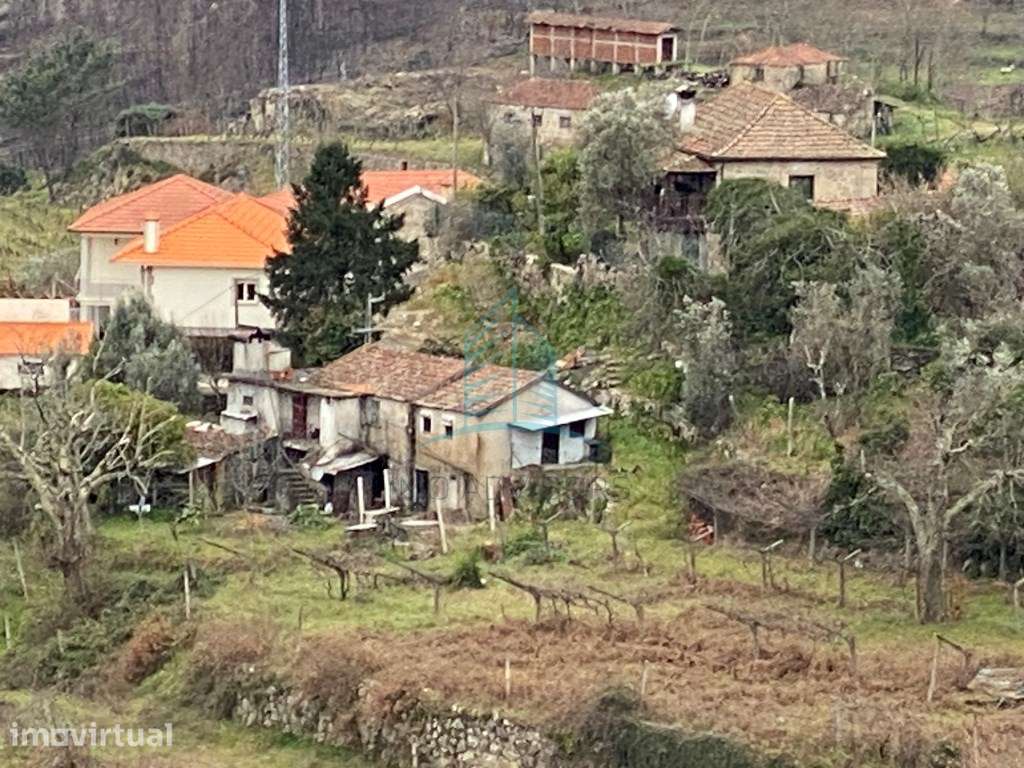 Quinta com Moradia para Recuperar e Terreno rústico | Baião| Douro - Grande imagem: 2/32