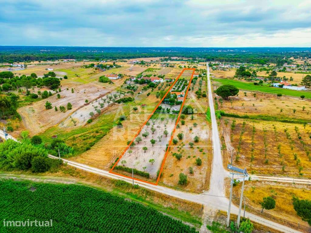 Quinta - Moradia T3 - Canha (Montijo) - 9000 m2 - Grande imagem: 3/56