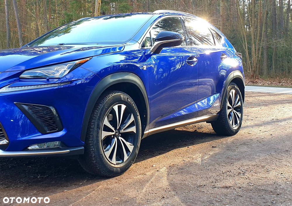 Lexus NX 300h F Sport AWD - 10