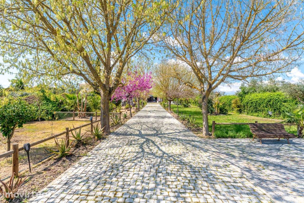 Magnífica Quinta com Piscina e Olival em Reguengos de Monsaraz - Grande imagem: 4/52