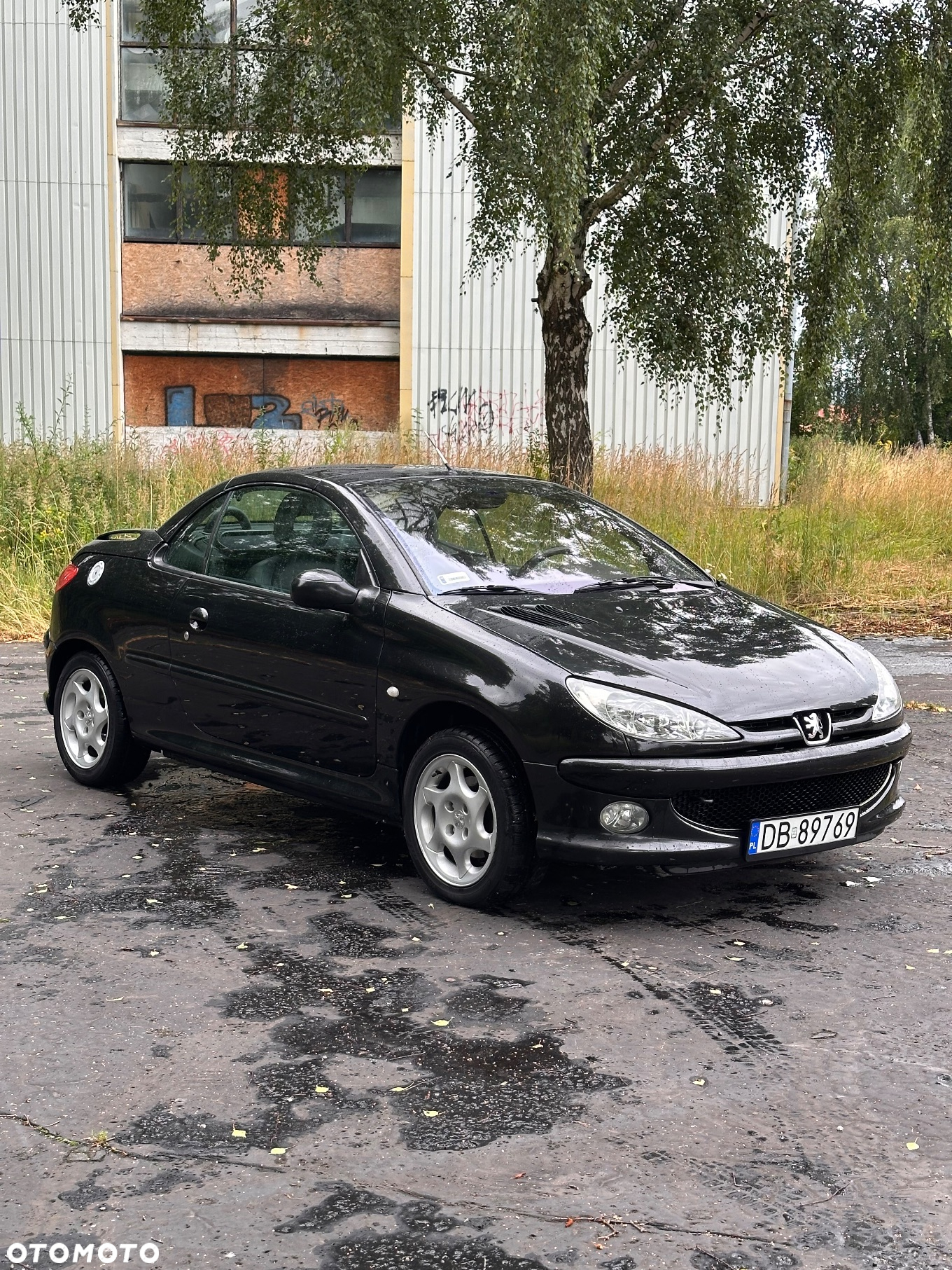 Peugeot 206 CC - 8
