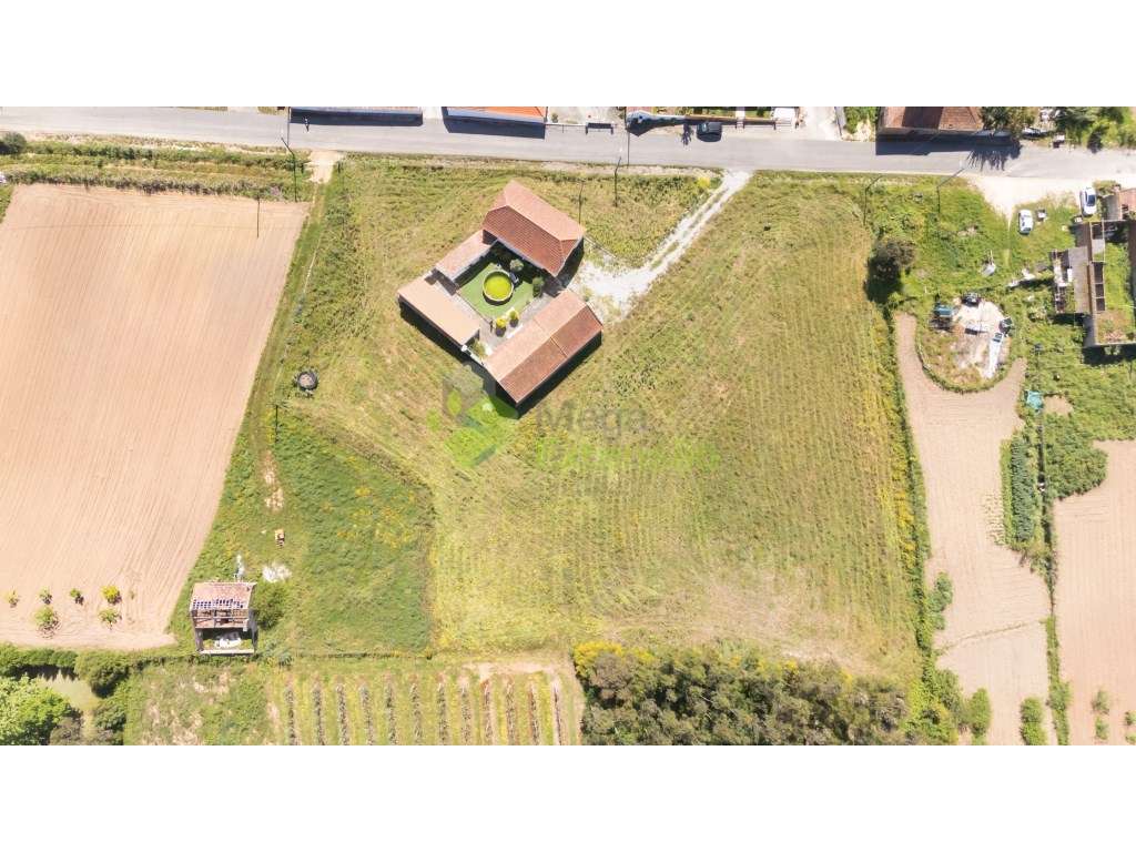 Moradia de Campo com Anexo, Piscina e Licença de Alojamento Local |... - Grande imagem: 5/59