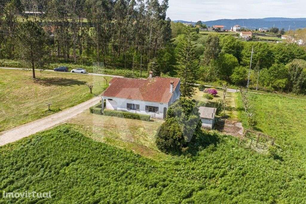 Quinta Torre de Penafiel, com 17 hectares e parecer favorável para emp - Grande imagem: 5/36