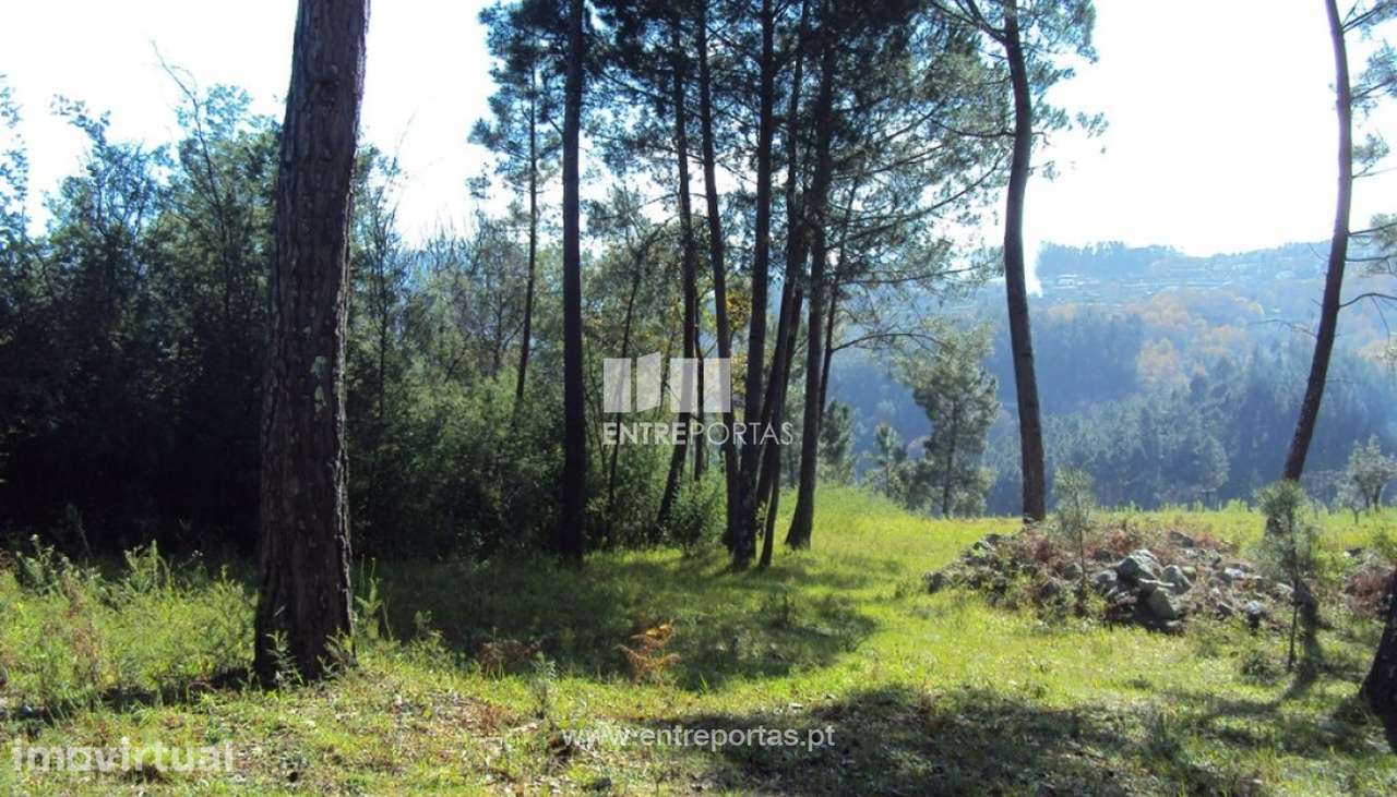 Venda Terreno, Mesquinhata, Baião - Grande imagem: 5/23
