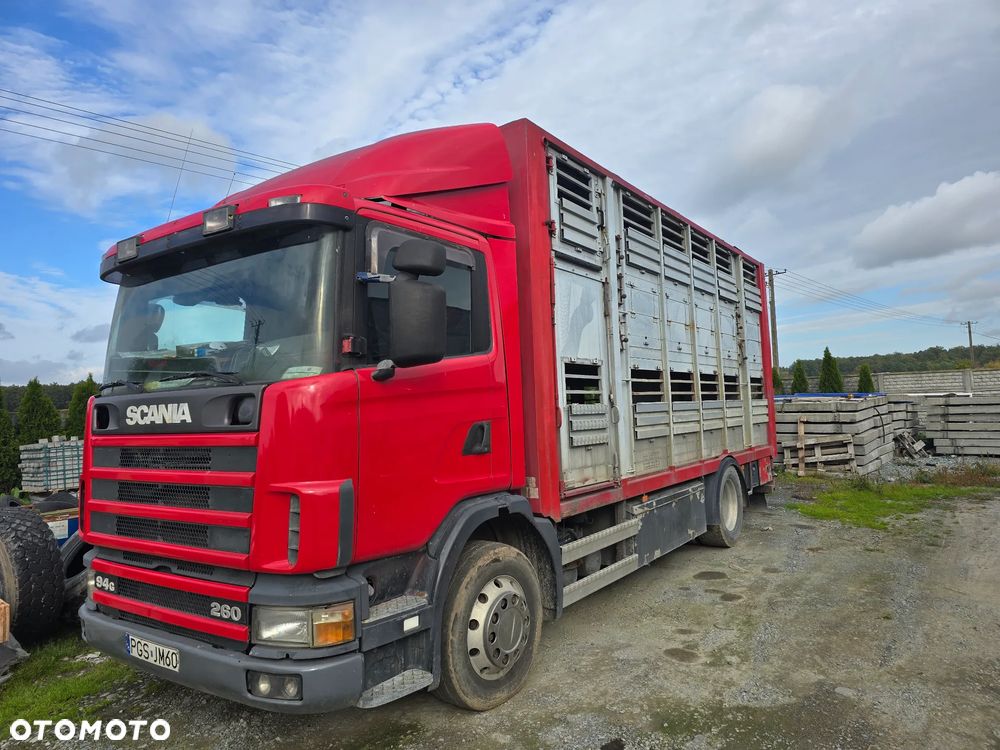 Scania P