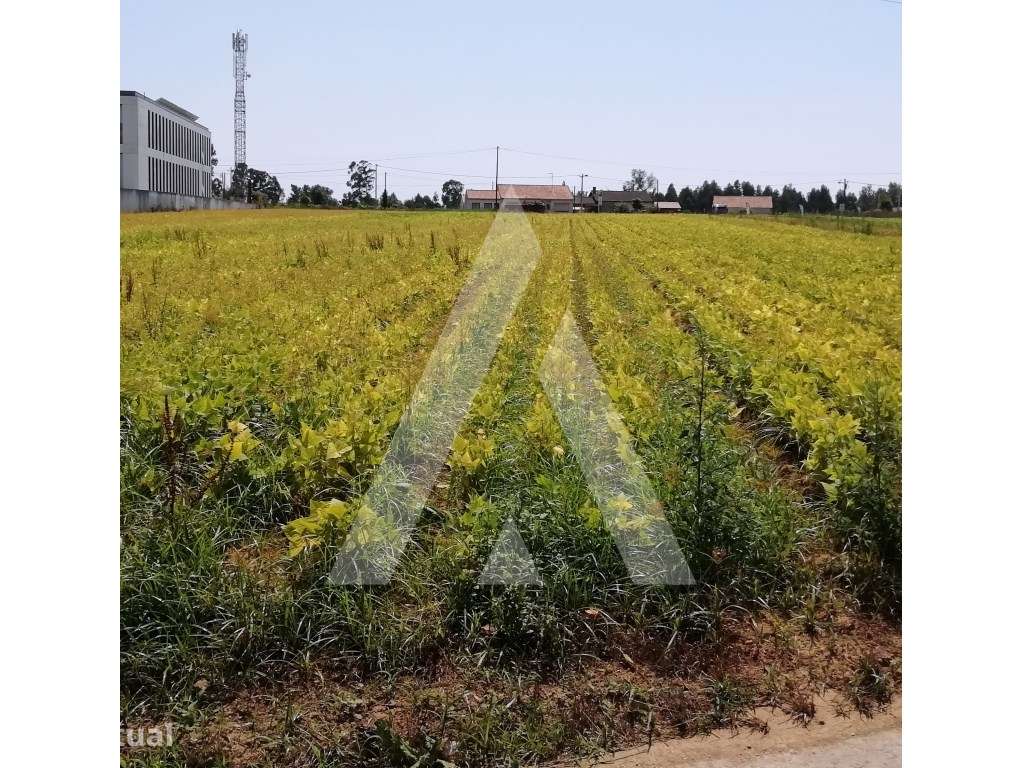 Terreno com mais de 2.200 m2 com 2 Frentes para construção junto ao... - Grande imagem: 3/4