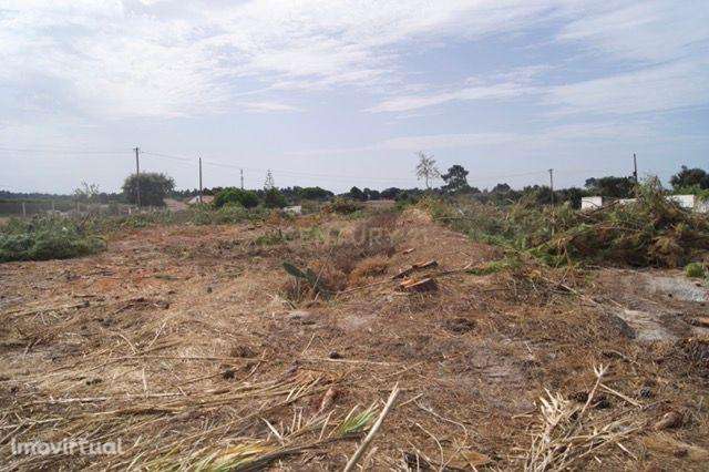Terreno Rústico em Brescos - Vila Nova Sto. André - Grande imagem: 3/15