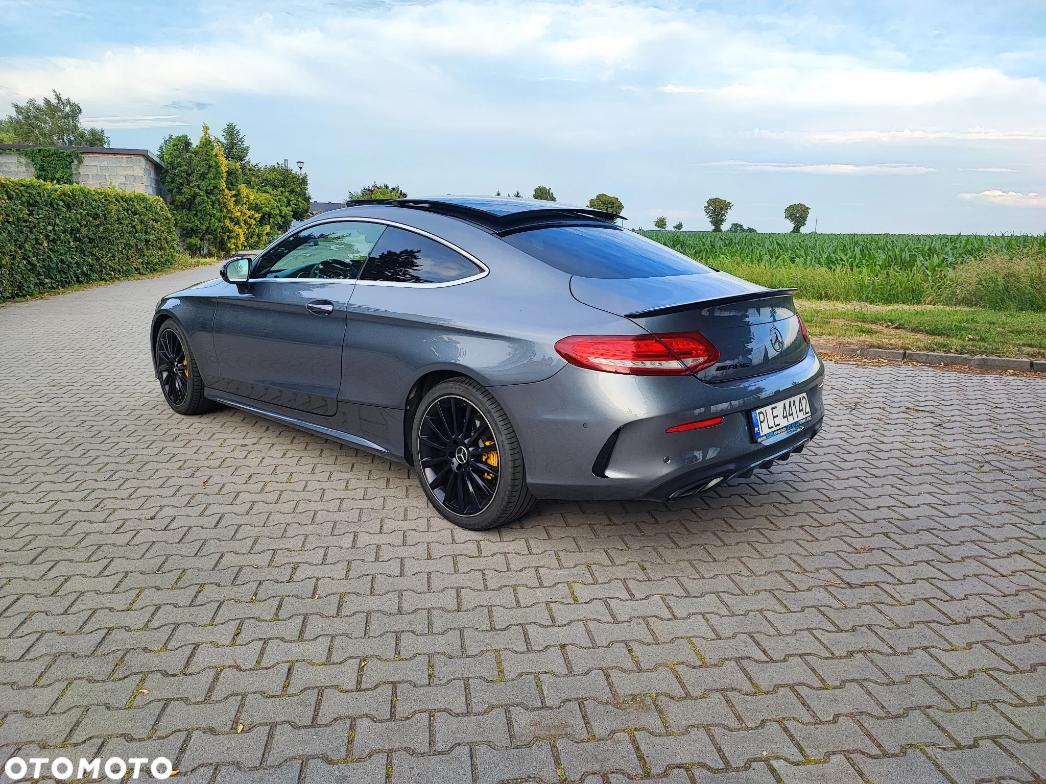 Mercedes-Benz Klasa C 250 d Coupe 9G-TRONIC AMG Line - 8