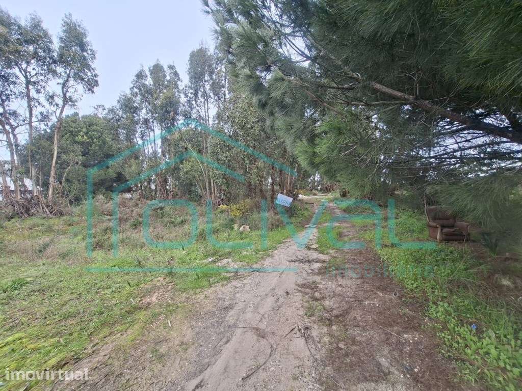 Lote Industrial em Samora Correia - Grande imagem: 4/11