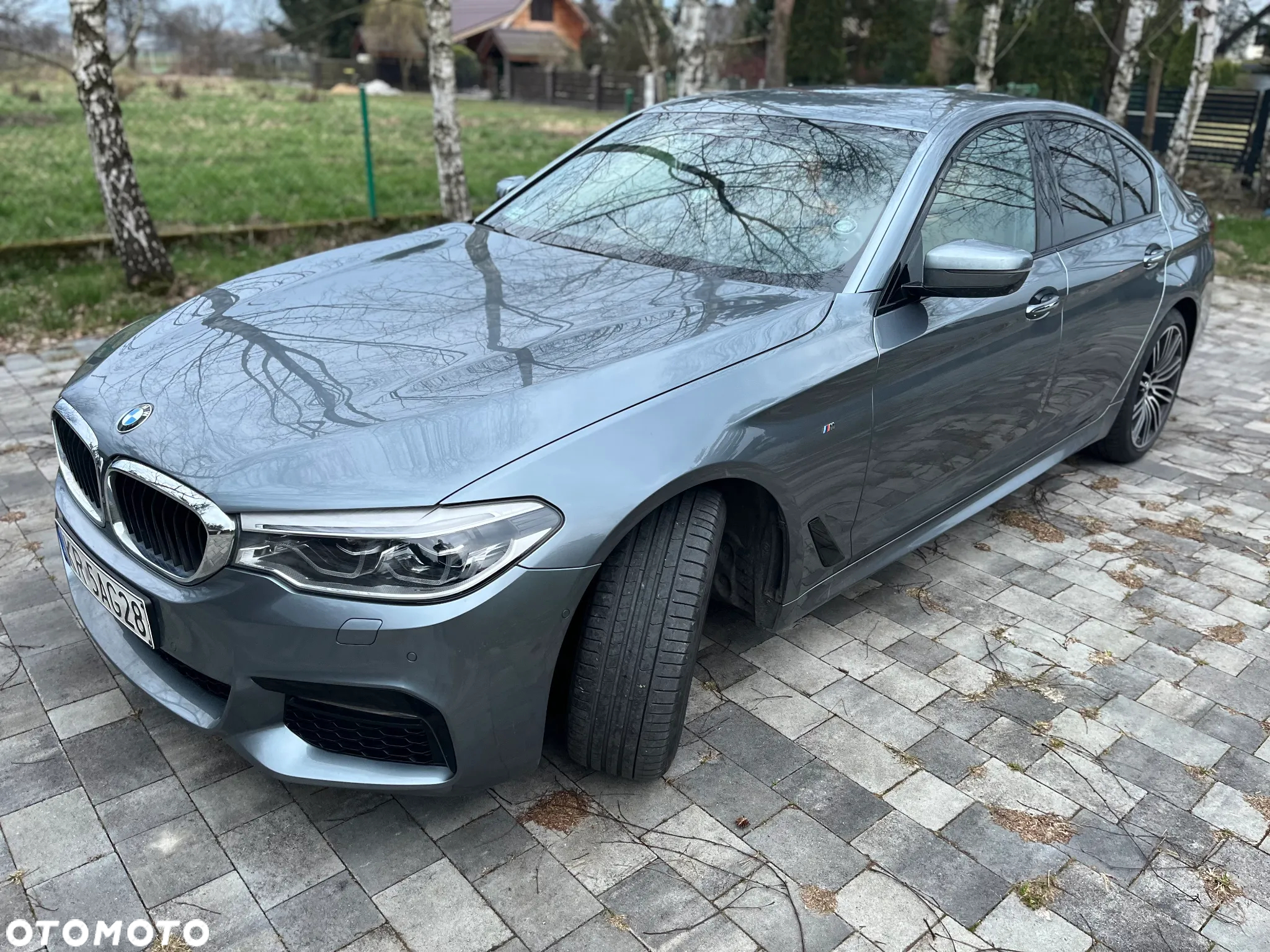 BMW Seria 5 530d xDrive - 2