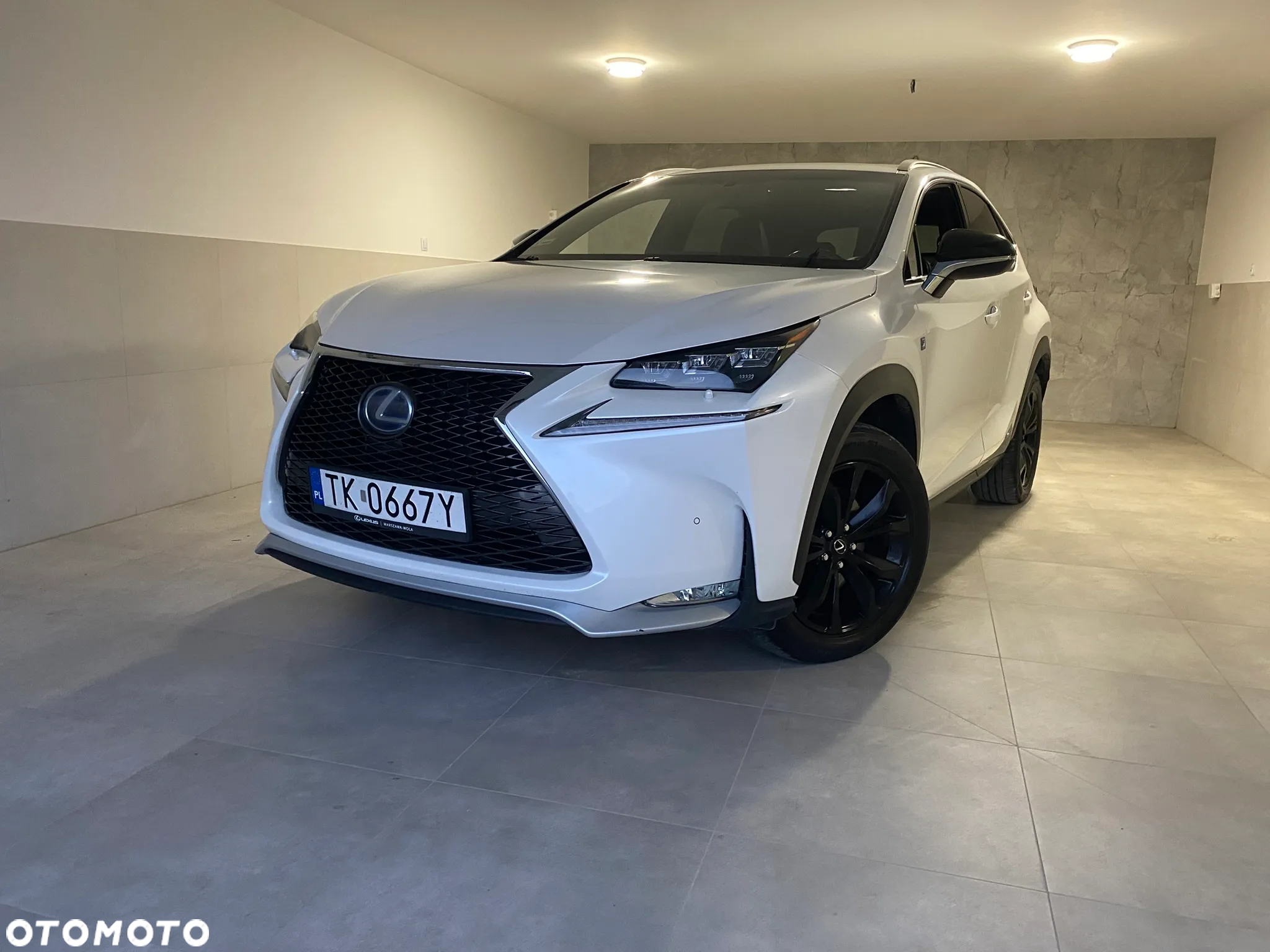Lexus NX 300h - 29