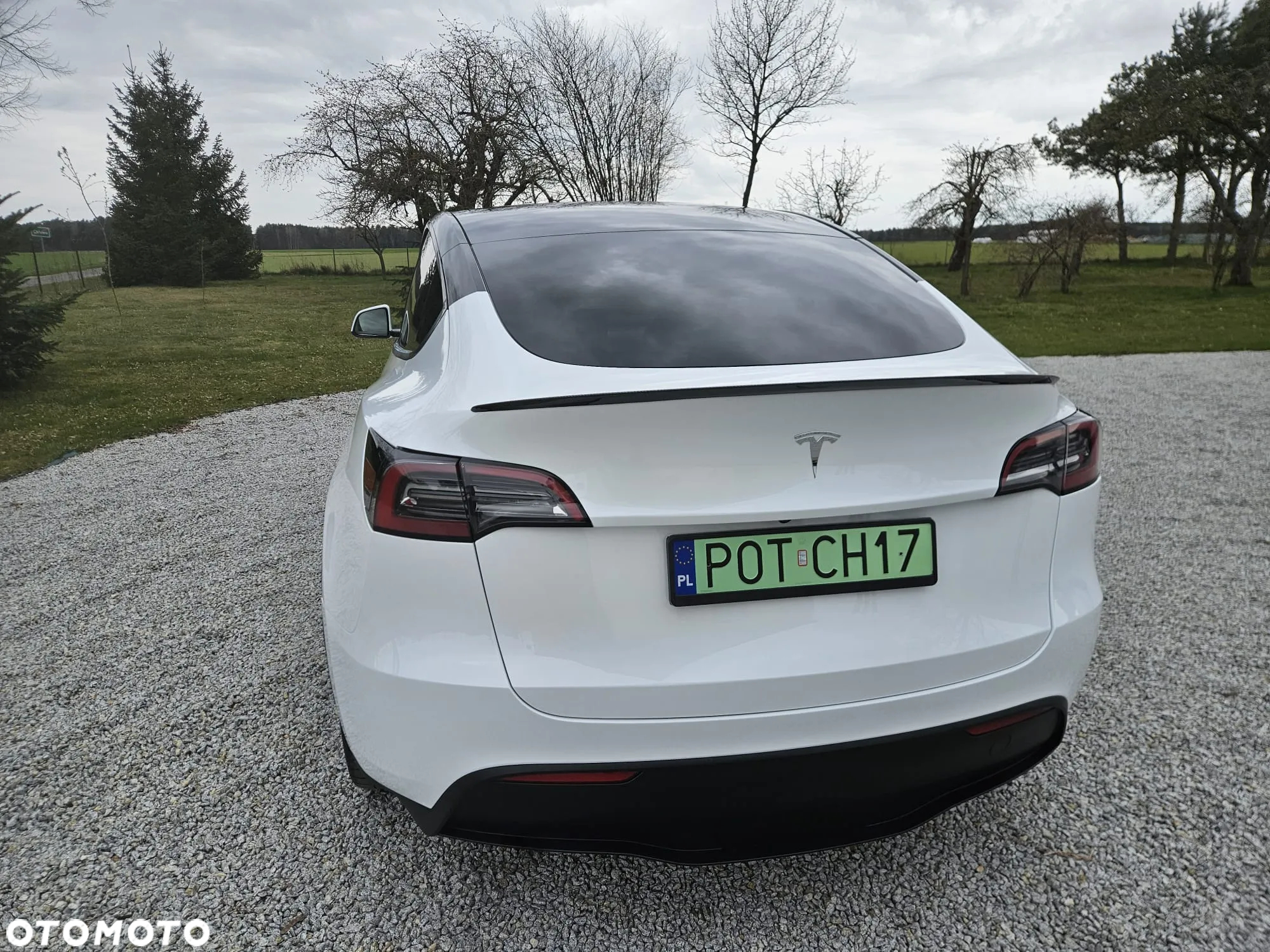 Tesla Y Model RWD - 14