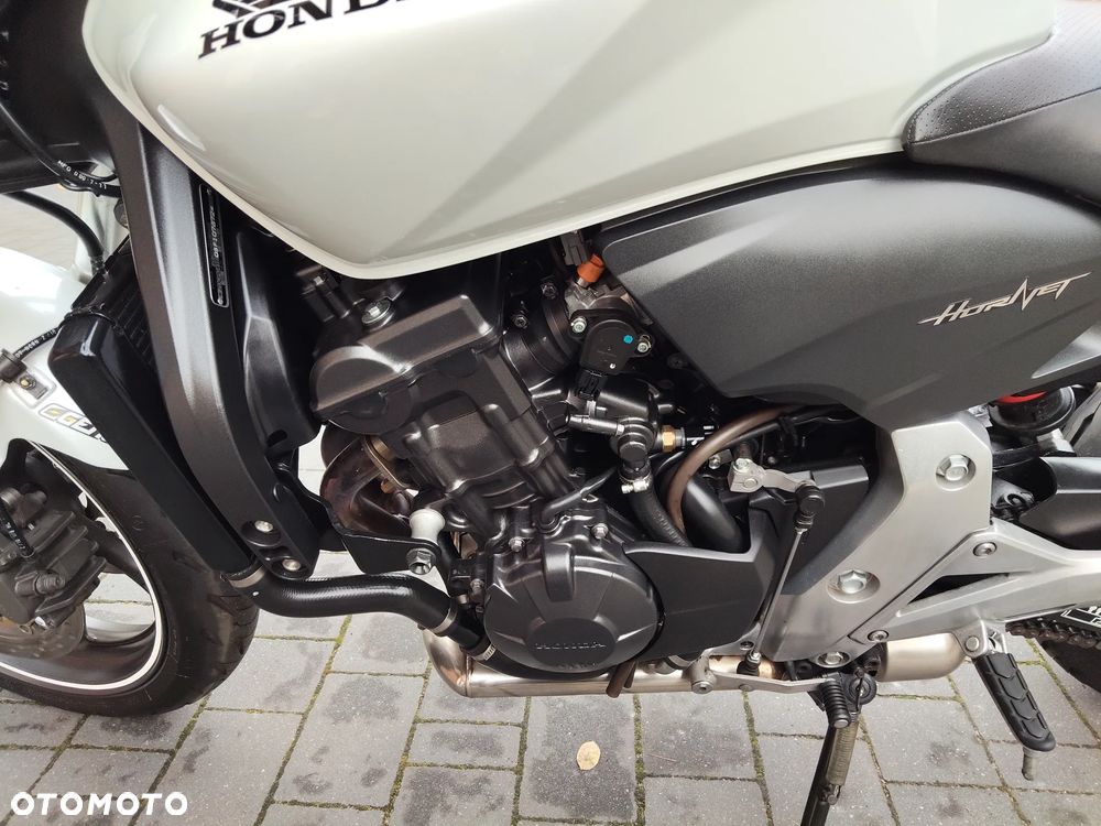 Honda Hornet - 23