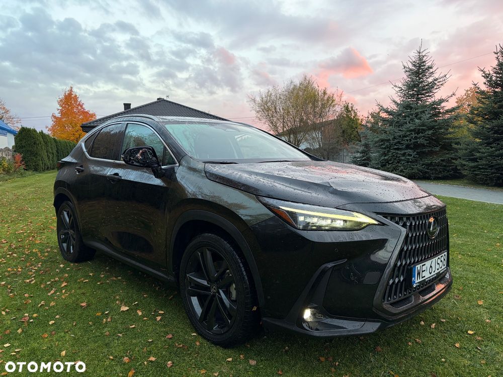 Lexus NX - 1
