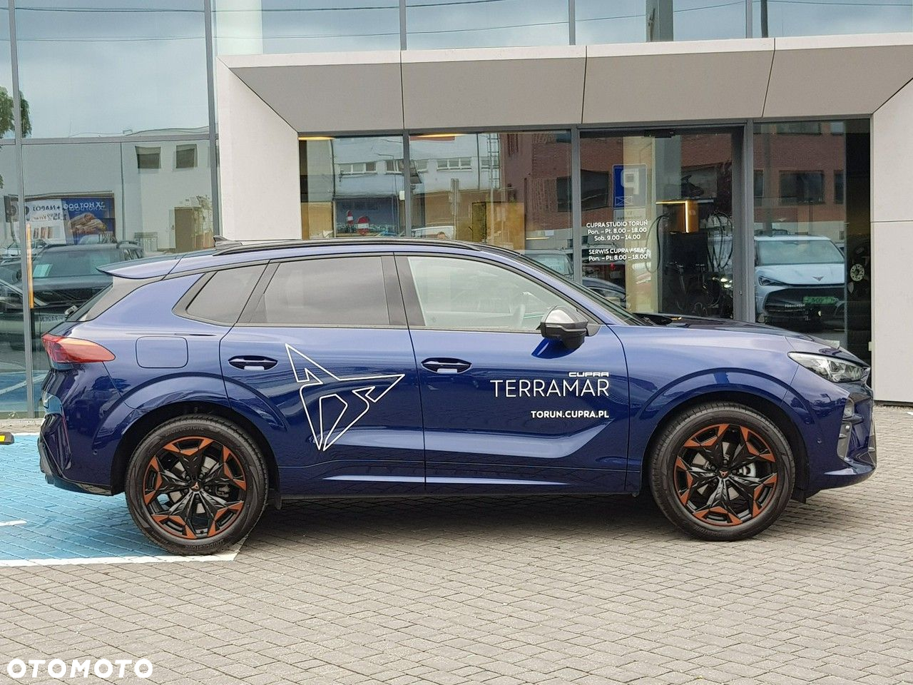 Cupra Terramar - 9