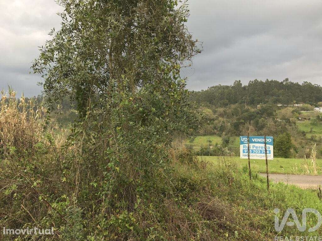 Terreno em Santiago e São Simão de Litém e Albergaria dos Doze de 1150 - Grande imagem: 4/27