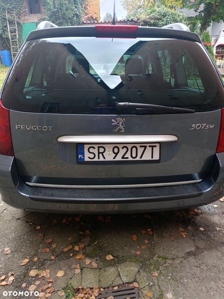 Peugeot 307 - 25