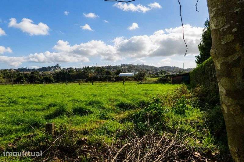 Terreno com 22.000 m2 em frente à A28 nó de Antas, Esposende - Grande imagem: 4/5