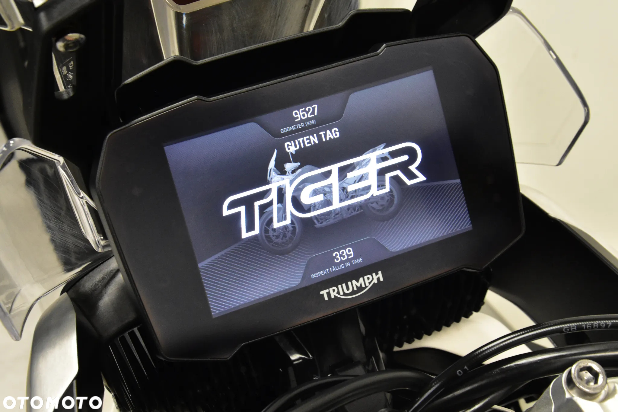 Triumph Tiger - 22