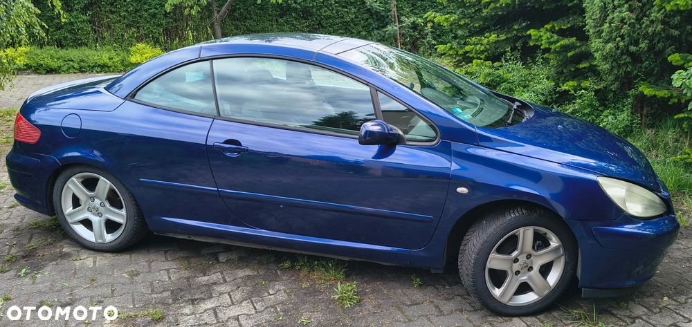 Peugeot 307 CC 2.0 - 19