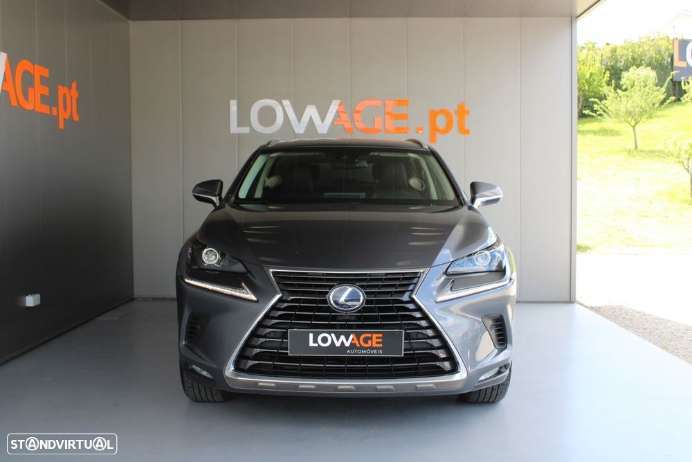 Lexus NX 300h Executive - 9