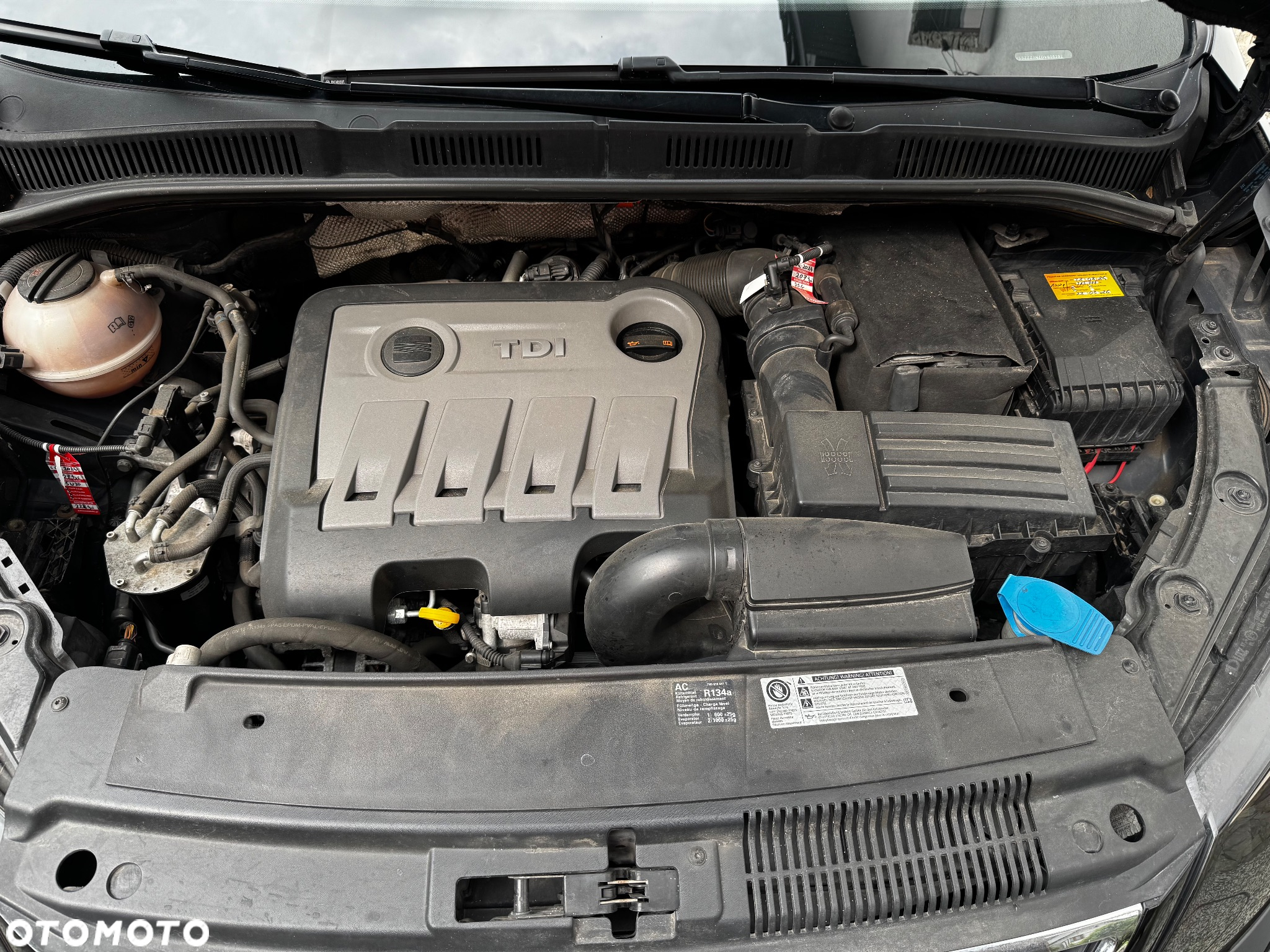 Seat Alhambra - 16