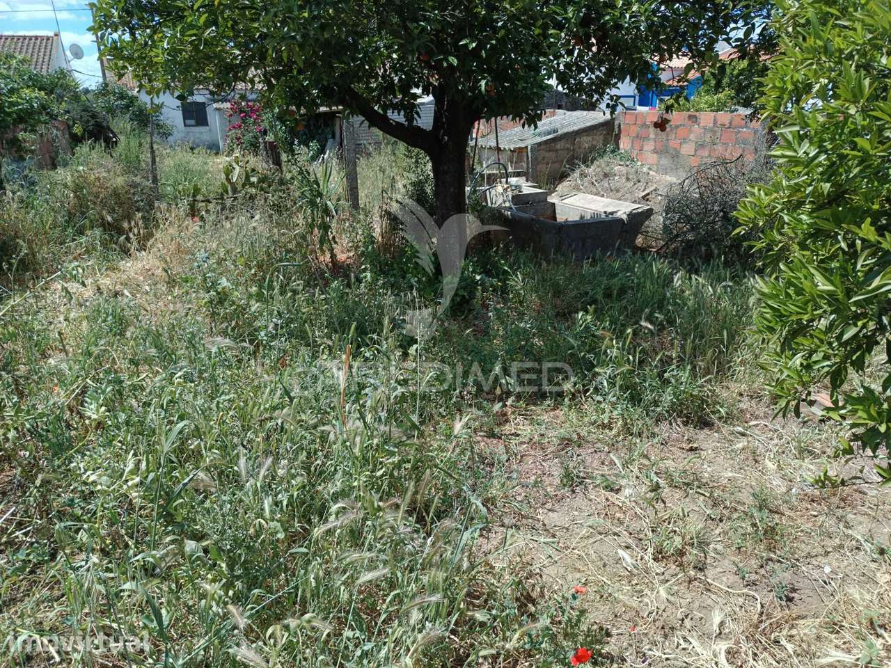 Moradia Terrea c/Quintal - Grande imagem: 5/20