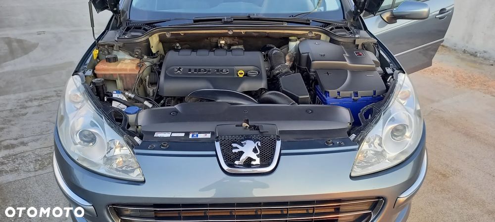 Peugeot 407 - 33