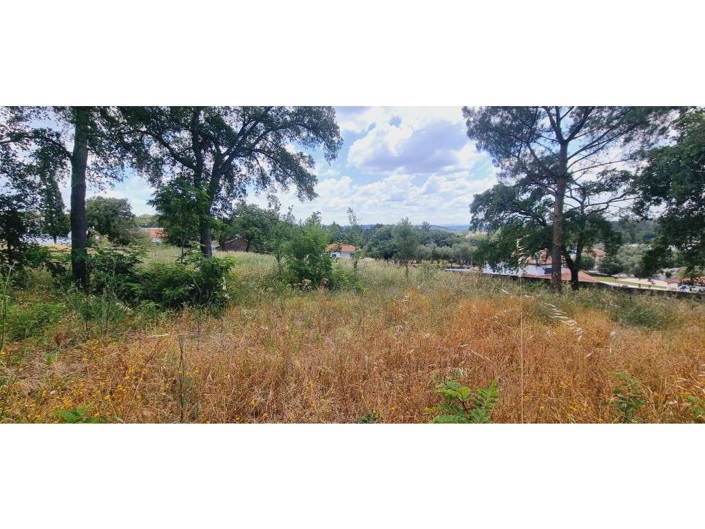 Terreno Venda Leiria - Grande imagem: 4/13