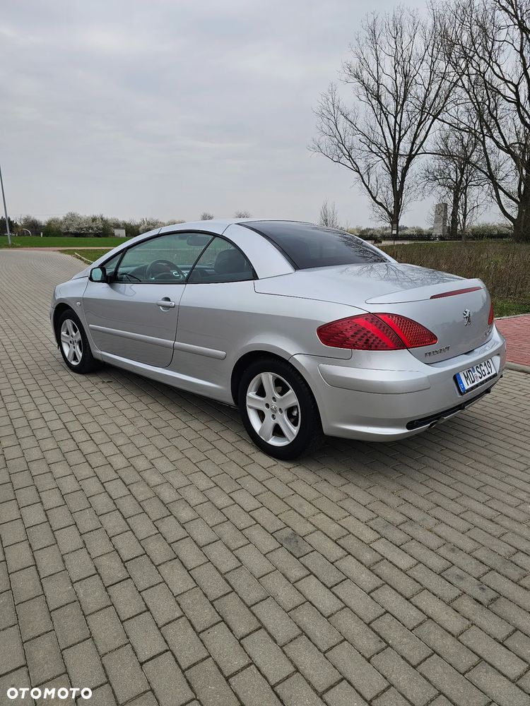 Peugeot 307 CC 2.0 - 12