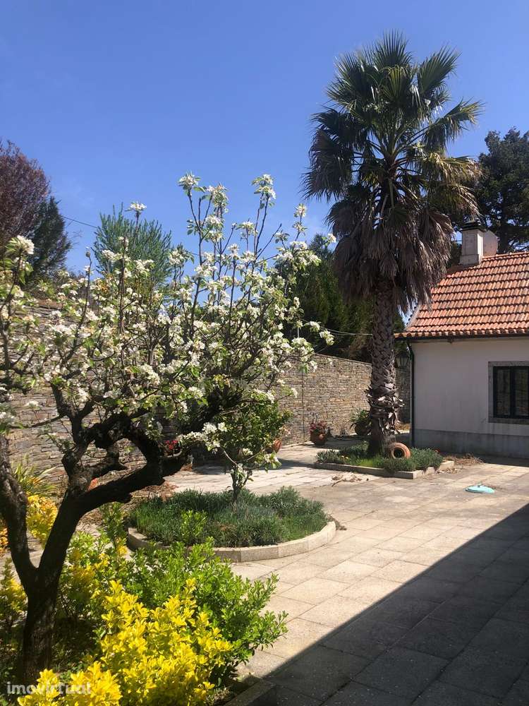 Quinta espetacular na região do vinho verde em plena produção - Grande imagem: 5/46