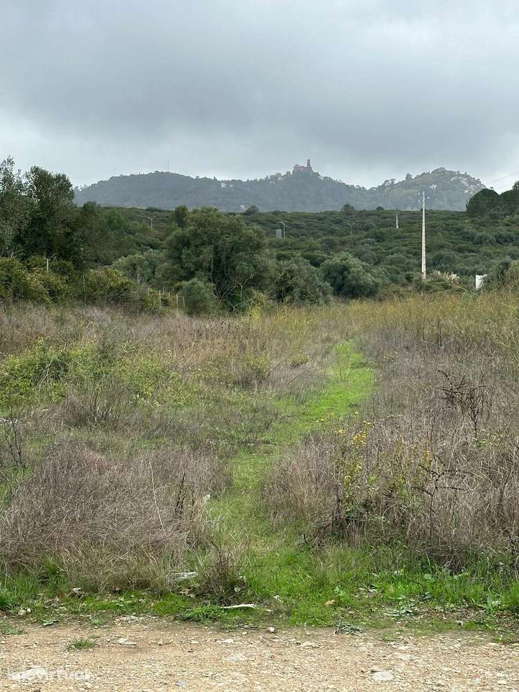 Terreno Urbano com Projecto Aprovado em Lourel - Grande imagem: 4/11