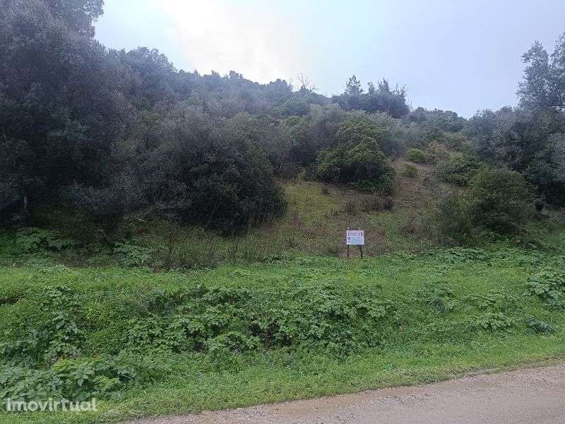 Vendo Terreno no campo - Grande imagem: 4/5