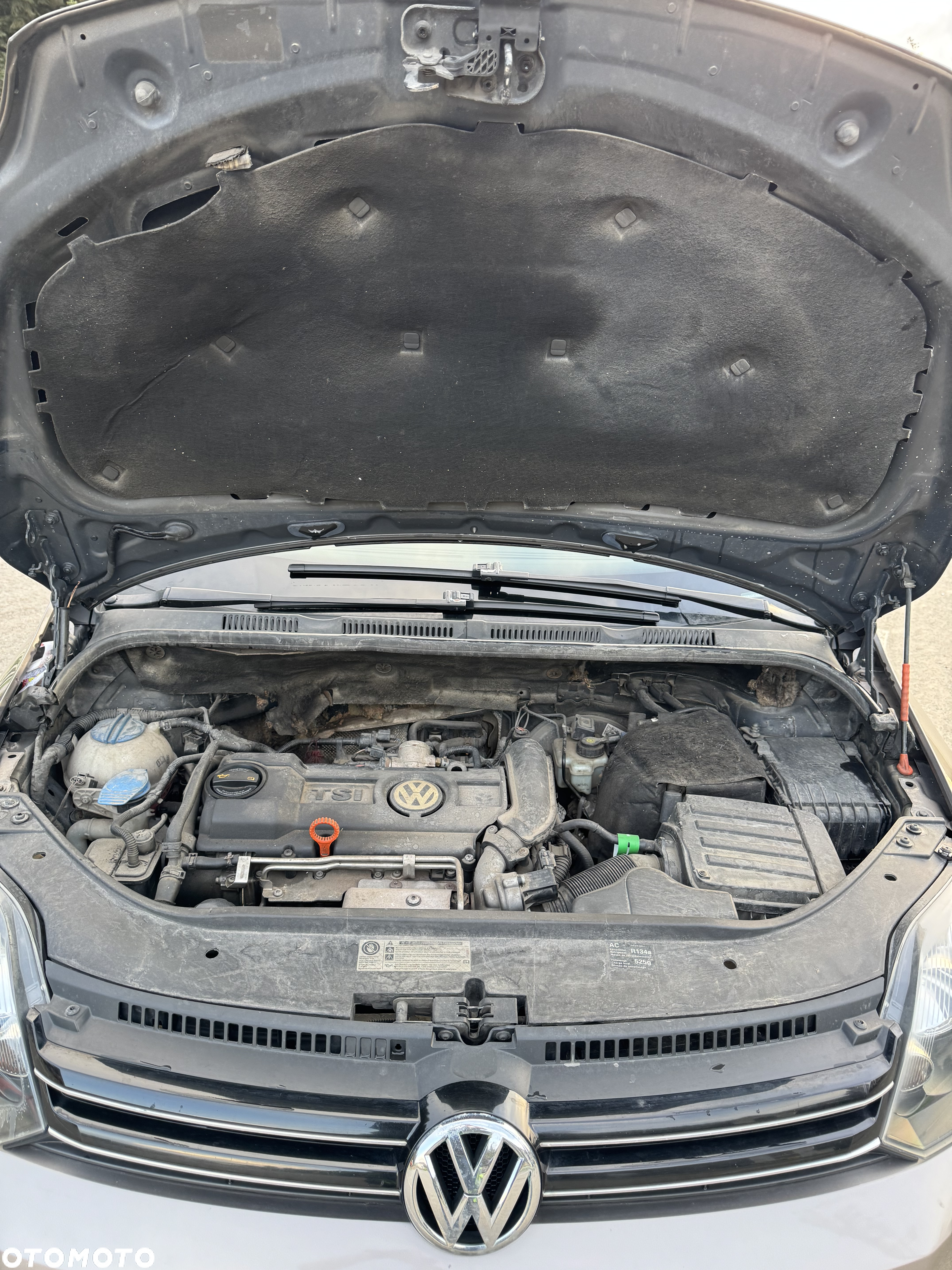 Volkswagen Golf Plus 1.4 TSI Highline - 14