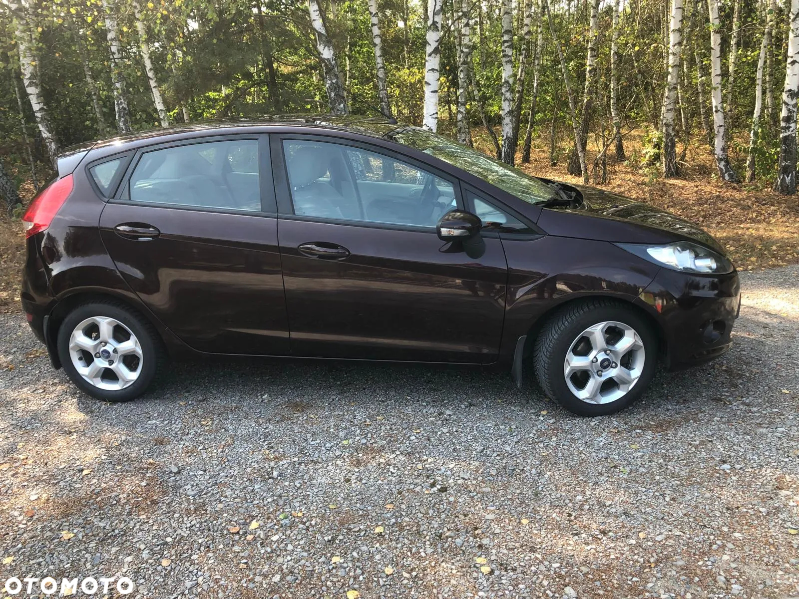 Ford Fiesta 1.25 Gold X EU5 - 12