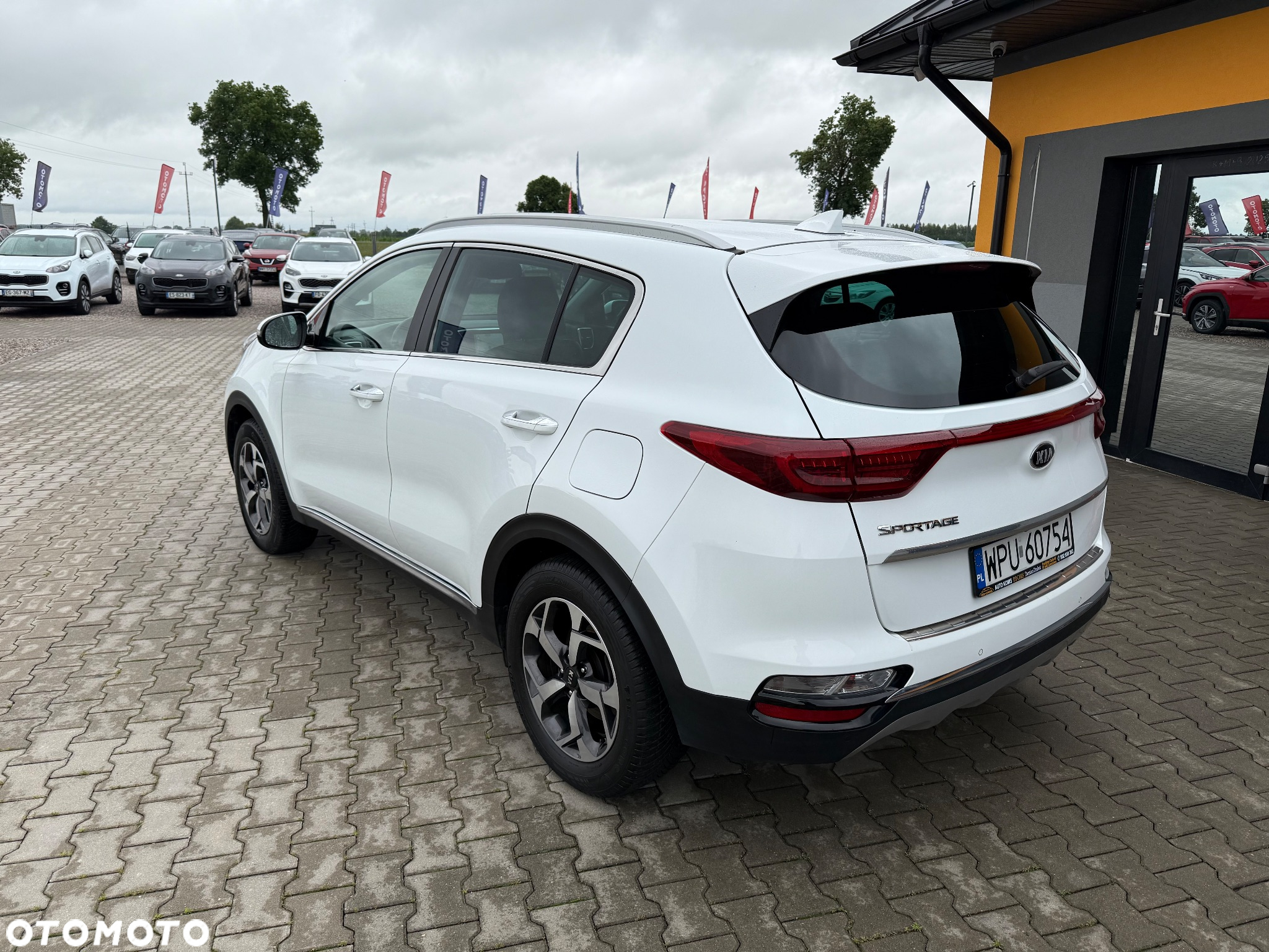 Kia Sportage 1.6 CRDI L Business Line Plus 2WD - 12