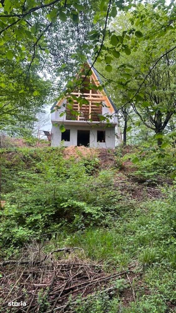 CHIUZBAIA 2CABANE cu teren de aprox. 70ari ! - Imagine principală: 4/6