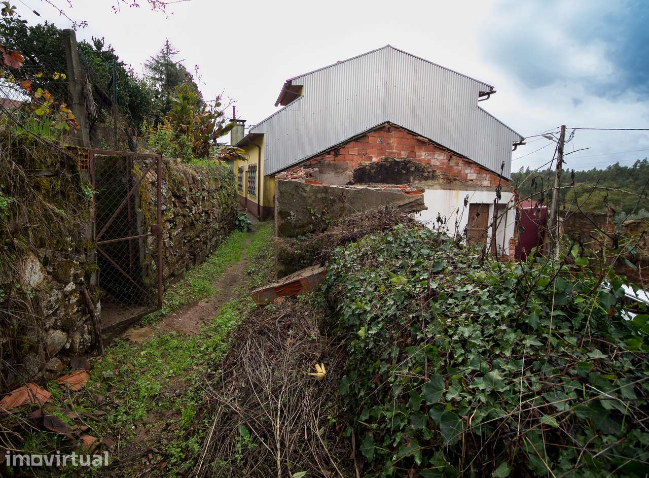 Moradia em ruina, Rua Sr. do Mundo, Freixo, Mortagua - Grande imagem: 3/7