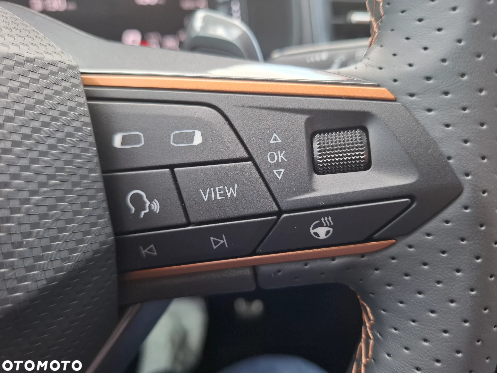 Seat Ateca 2.0 TSI Cupra S&S 4Drive DSG - 20
