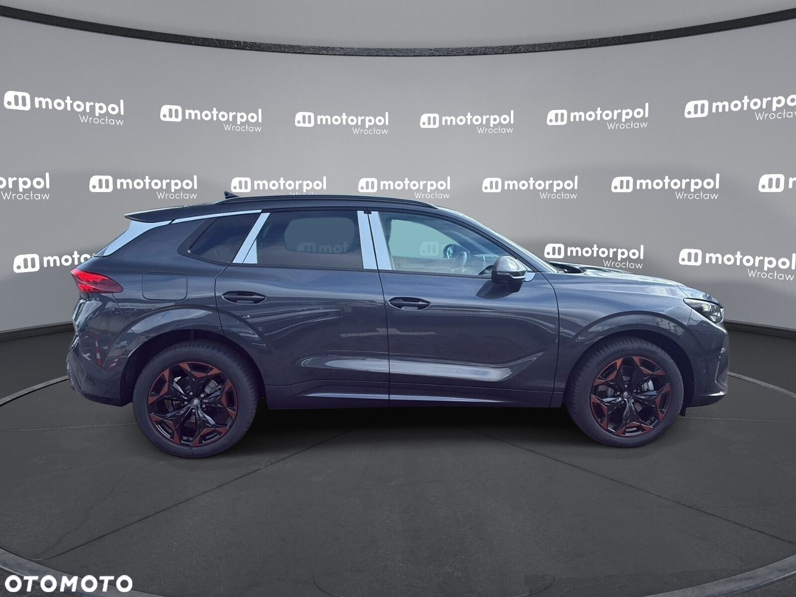 Cupra Terramar - 11
