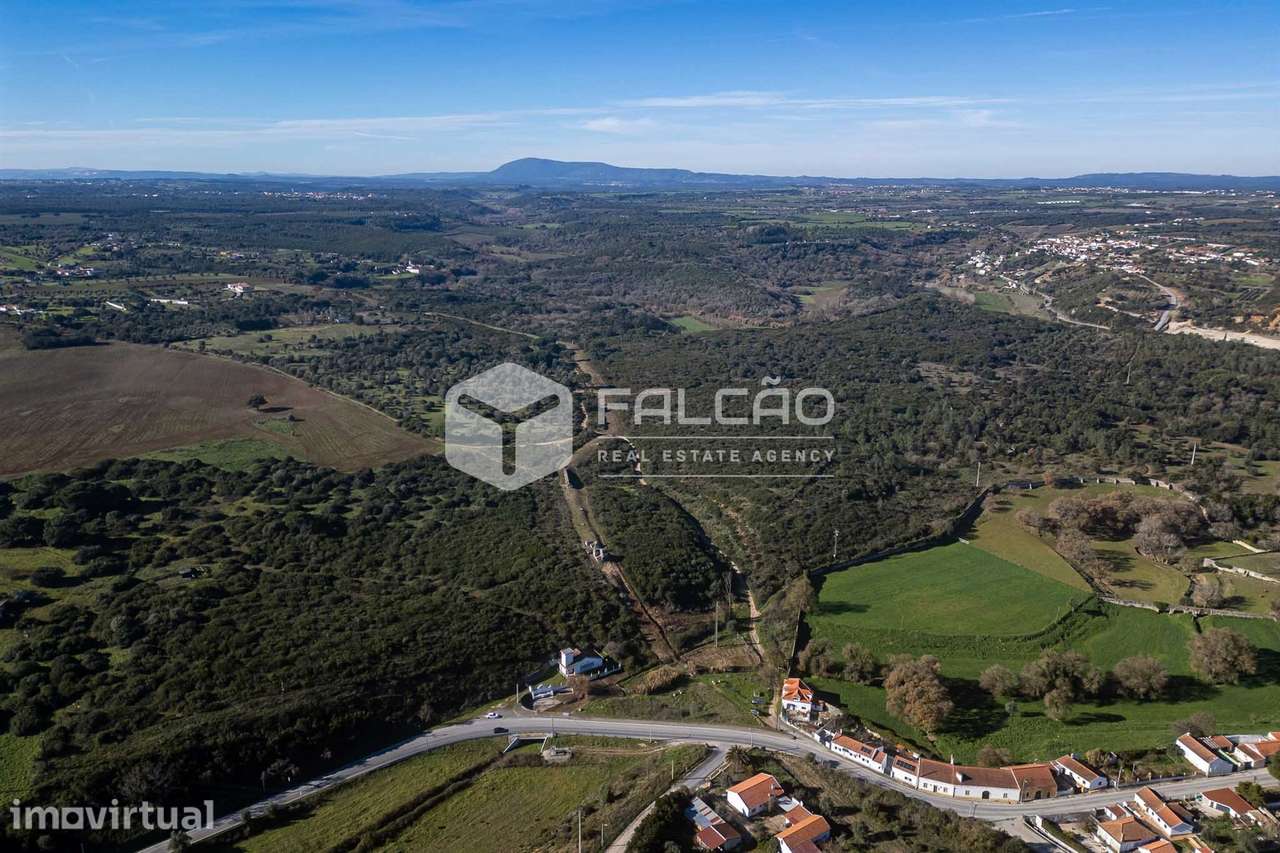 Terreno  Venda em Almoster,Santarém - Grande imagem: 5/29