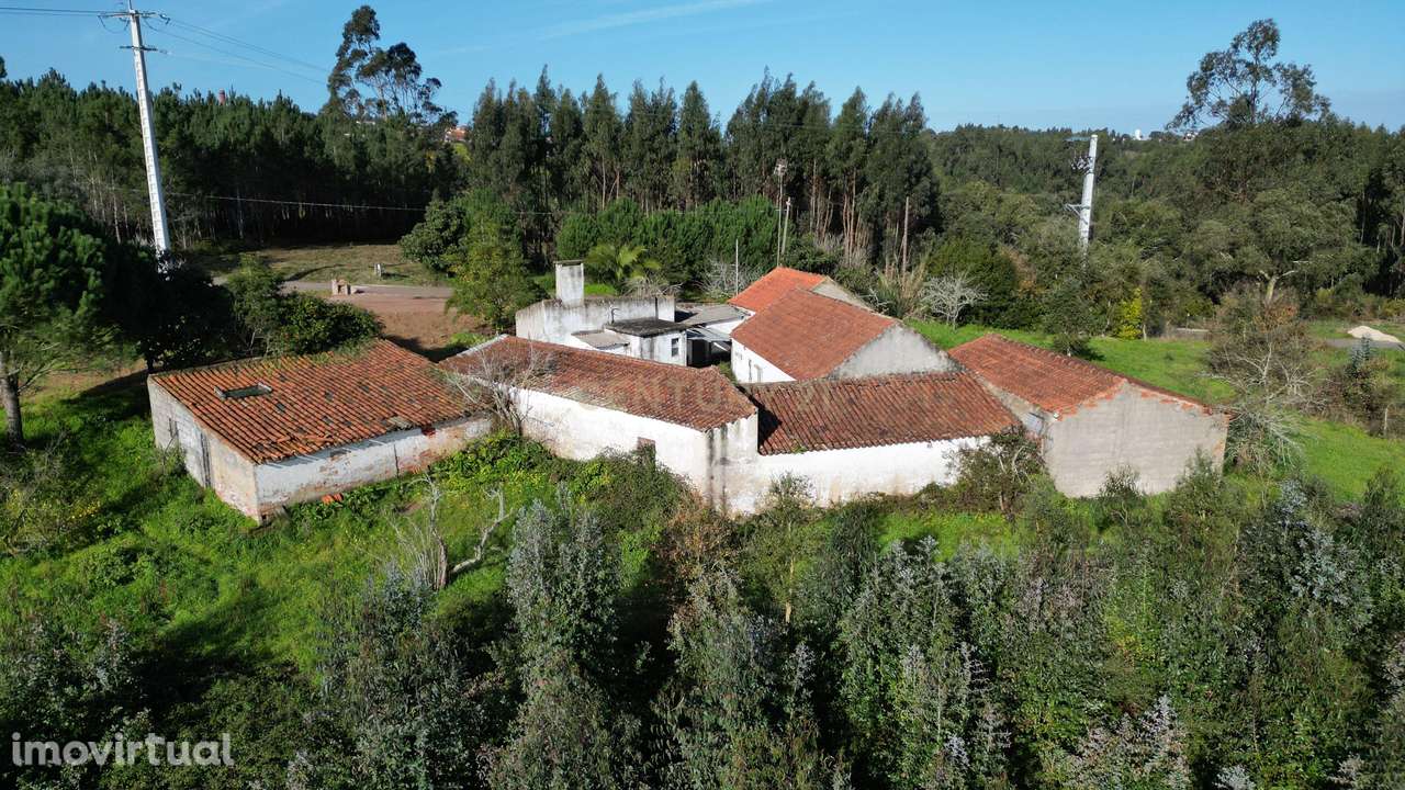 Moradia com terreno | Lagoa Parceira | Caldas da Rainha - Grande imagem: 4/15