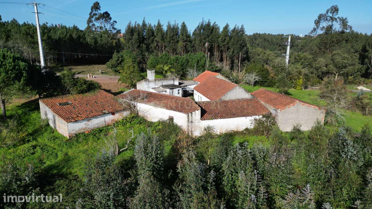 Moradia com terreno | Lagoa Parceira | Caldas da Rainha - Grande imagem: 4/15