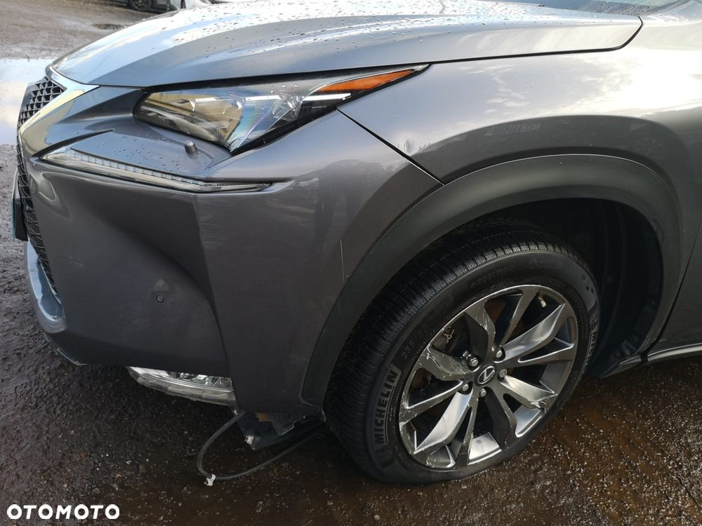 Lexus NX 300h E-FOUR Executive Line - 4