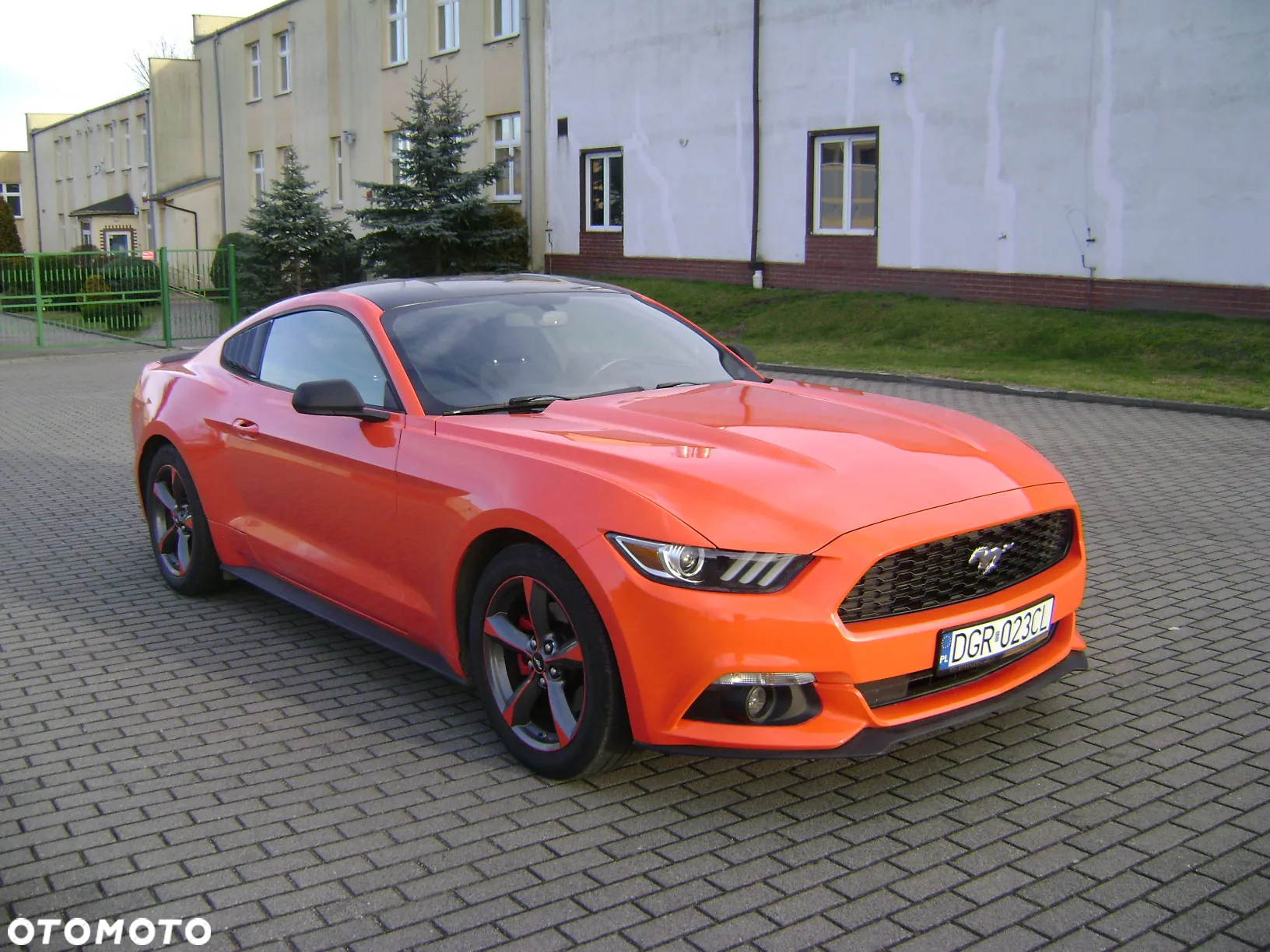 Ford Mustang 3.7 V6 - 5